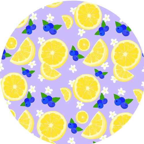 Blueberry Lemonade Smocked Bodysuit Twirl